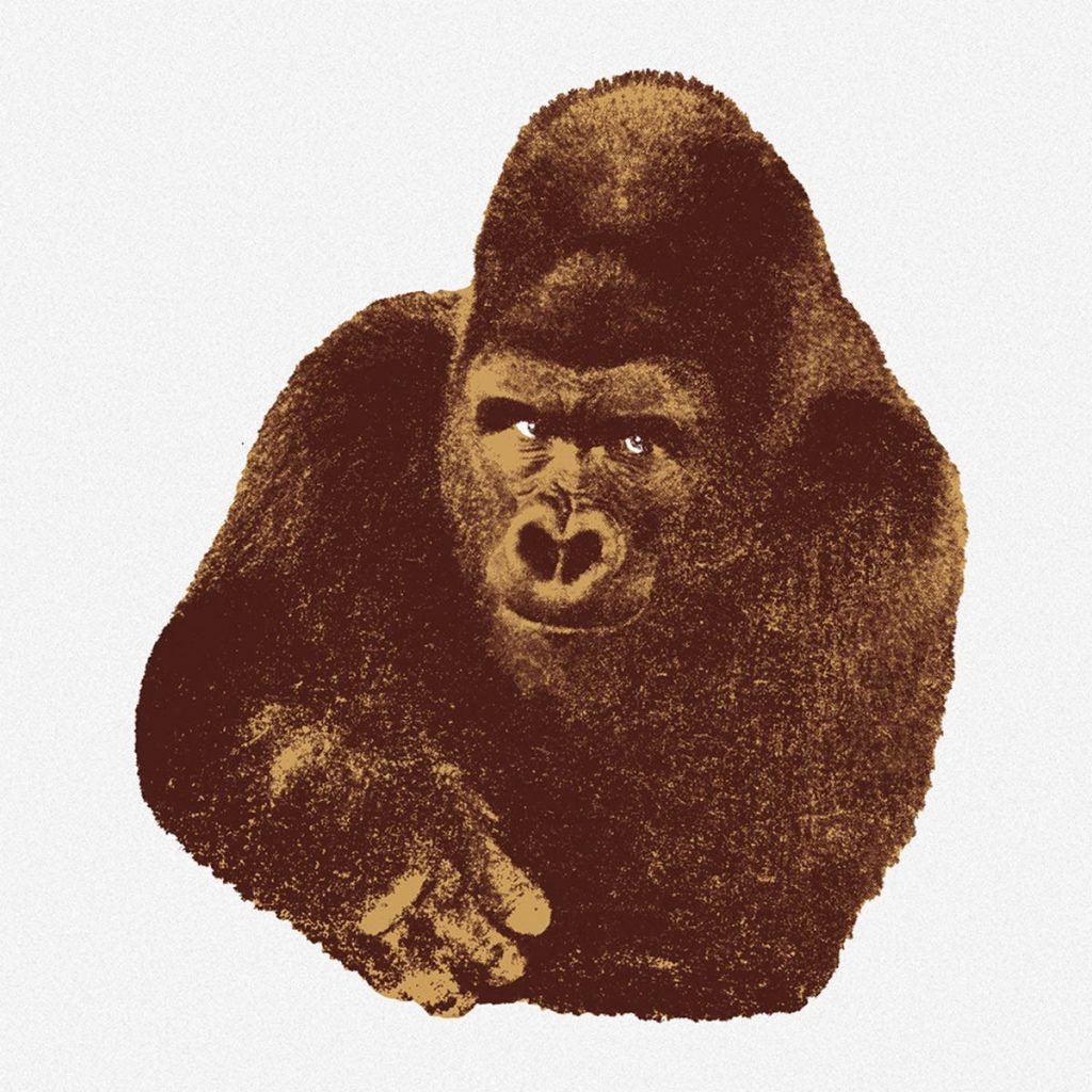 quindici il gorilla serigrafia danese milano